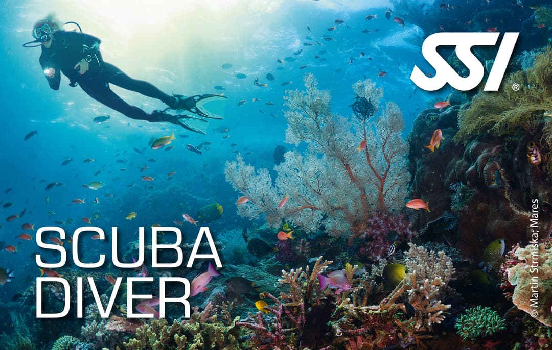 CURSO SSI SCUBA DIVER