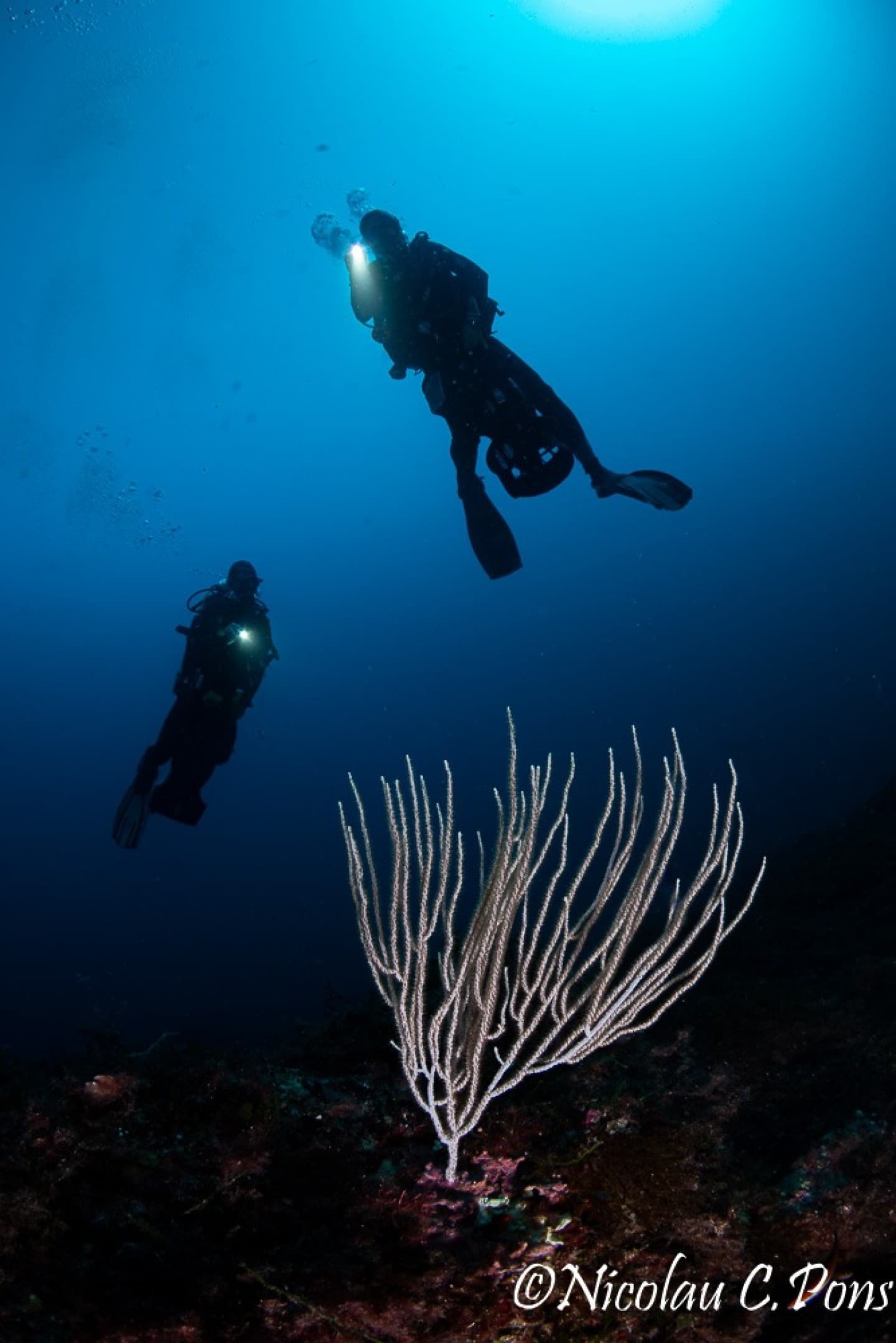 CURSO SSI BUCEO CON SCOOTER - DPV DIVING