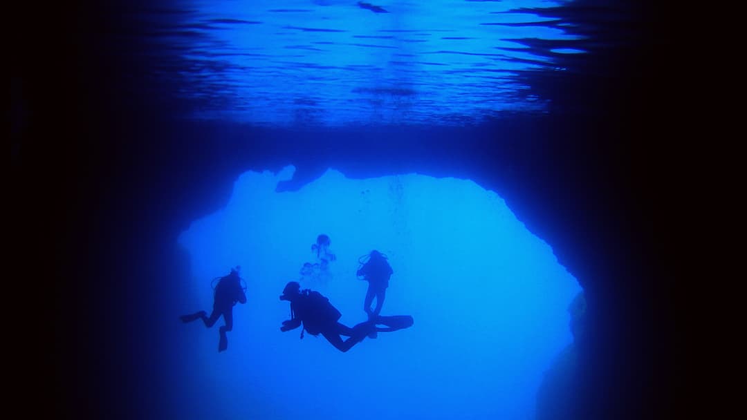 BUCEO EN MALLORCA : 1 INMERSION