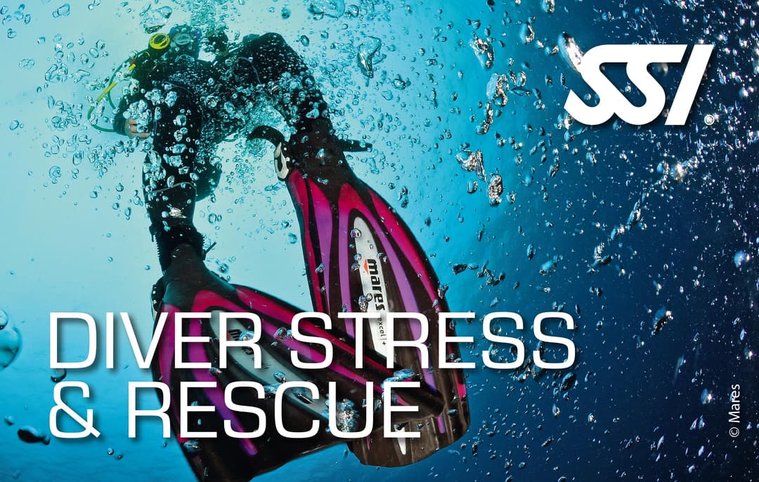 CURSO SSI ESTRES Y RESCATE - SSI STRESS & RESCUE