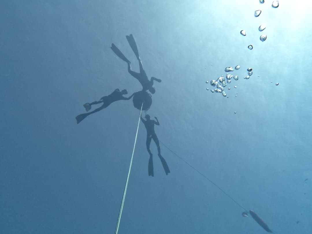 PACK DE 4, 6, 8 y 10 INMERSIONES DE APNEA