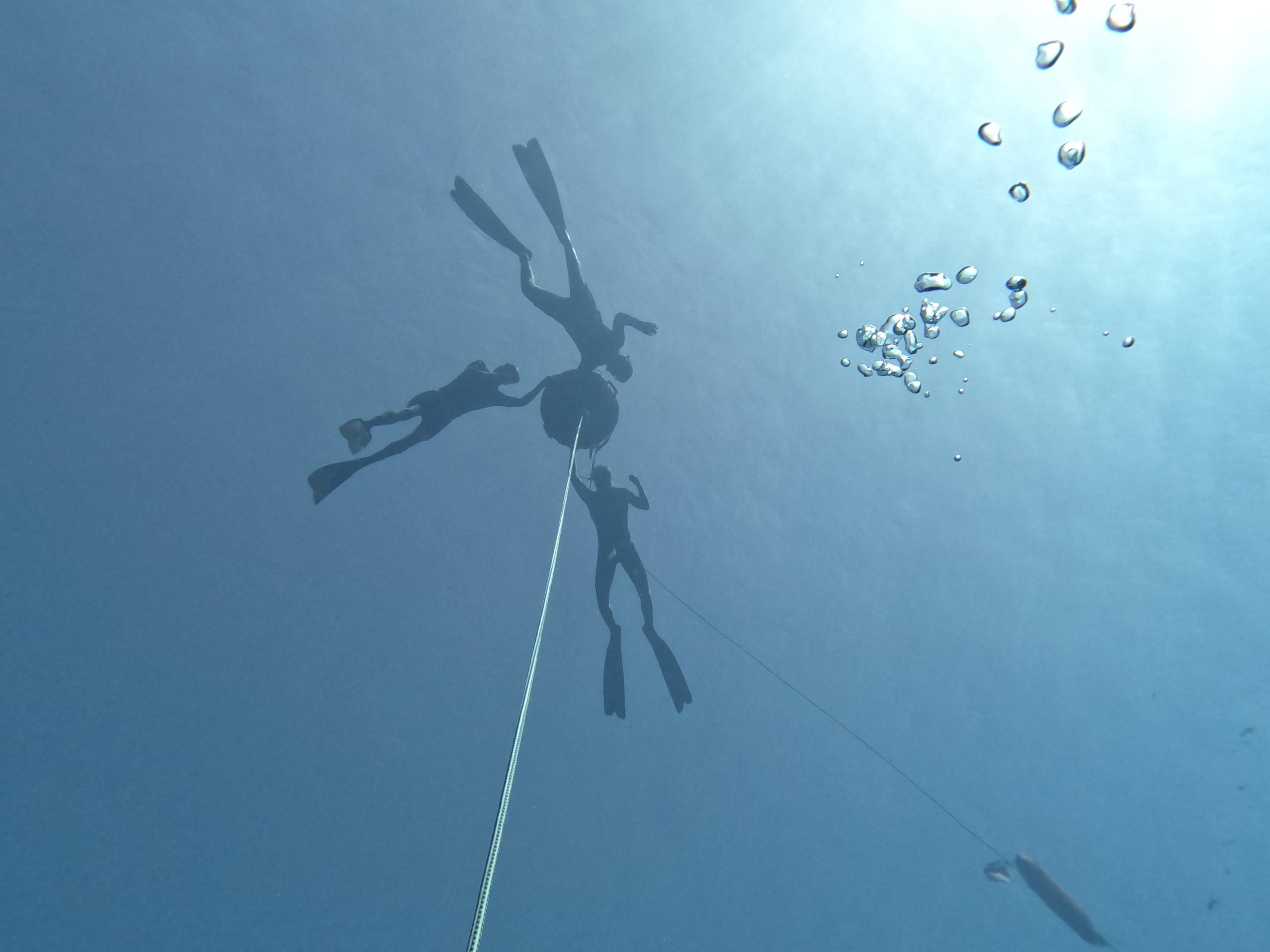 PACK DE 4, 6, 8 y 10 INMERSIONES DE APNEA