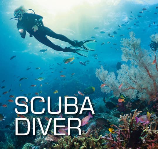 CURSO SSI SCUBA DIVER