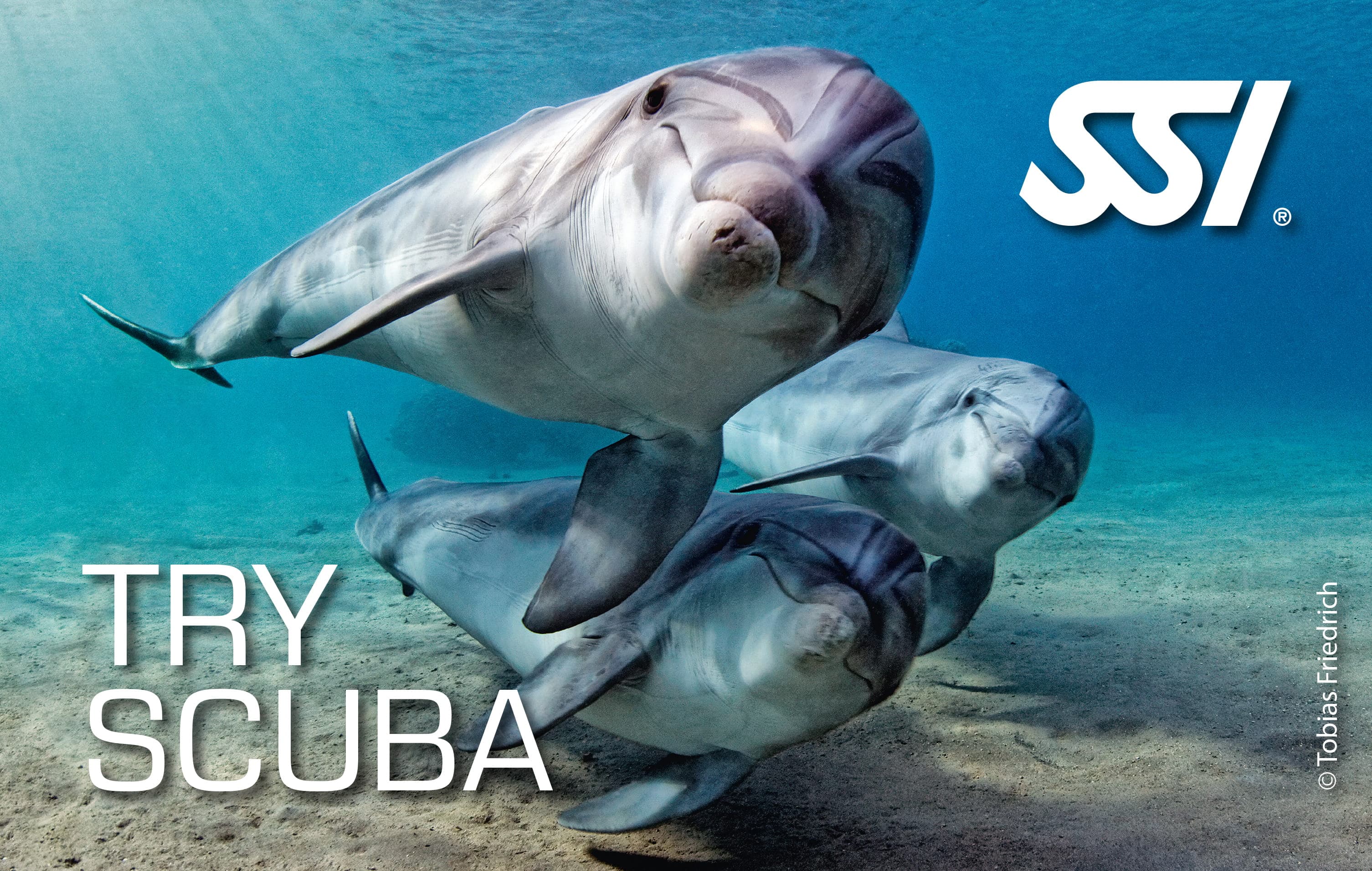 TU PRIMERA AVENTURA SUBMARINA