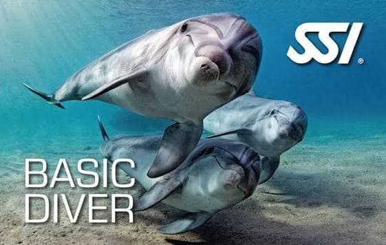 BASIC DIVER 